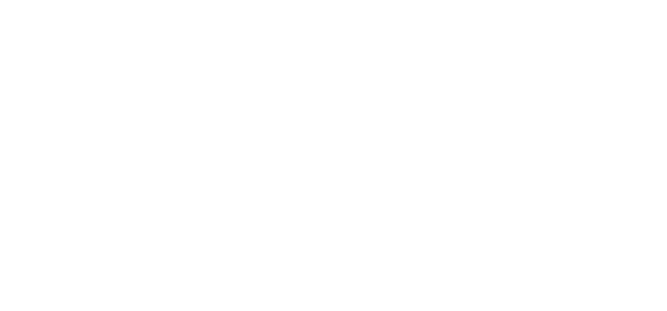 Boreus
